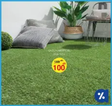 Promo Alpha55 Gazon Artificiel Dimension 1x1m 100Dhs au lieu de 169Dhs