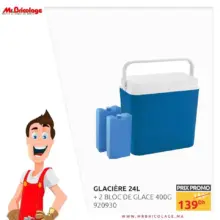 Promo Mr Bricolage Maroc Glacière 24L + 2 bloc glace 139Dhs au lieu de 159Dhs