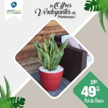 Soldes Aswak Assalam Pot de fleurs à 49Dhs au lieu de 59Dhs