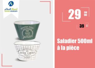 Saladier 500ml à la pièce