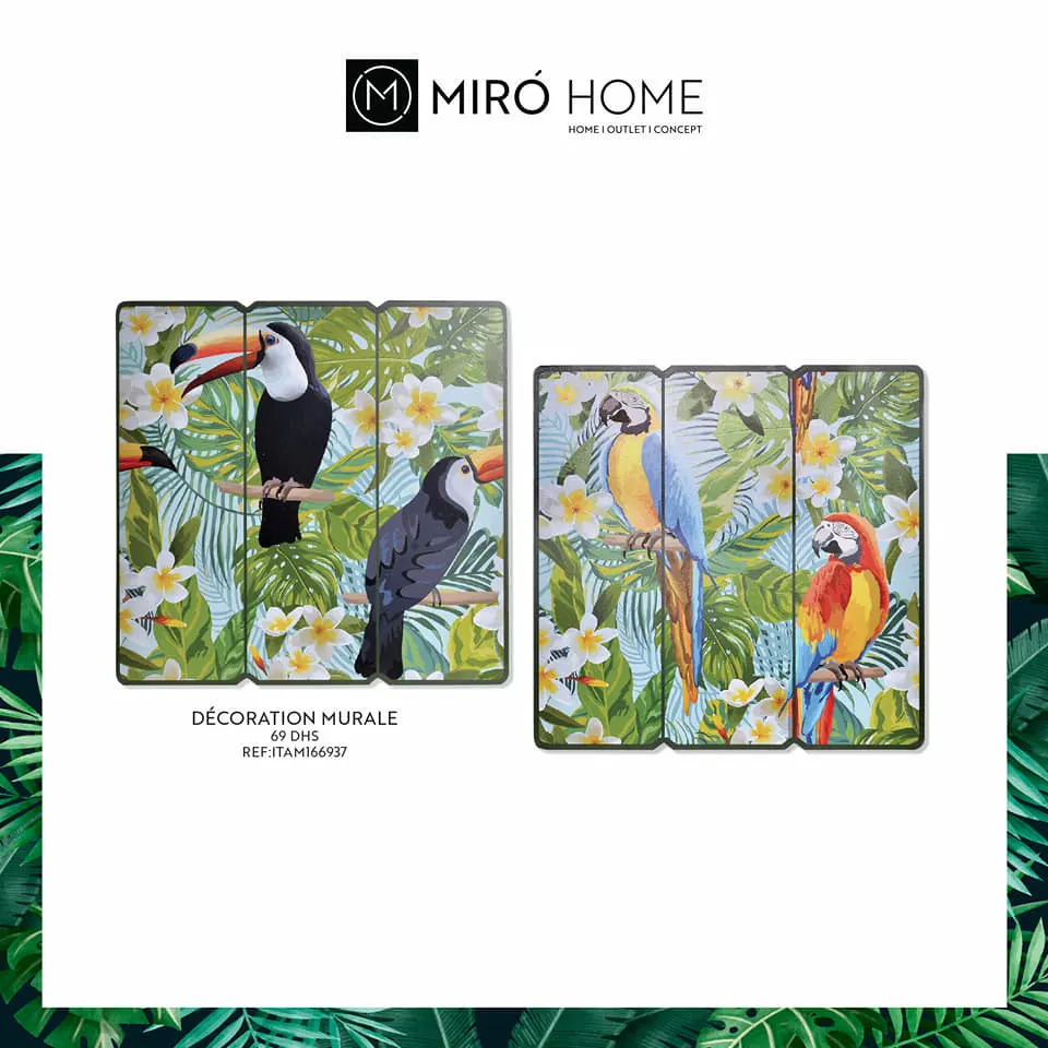 Nouveau chez Miro Home Décoration Murale divers motifs à 69Dhs 