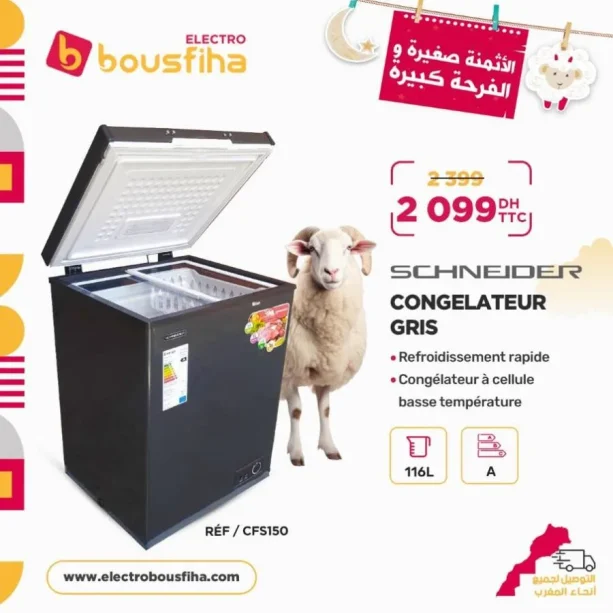 Congélateur gris 116 litres SCHNEIDER