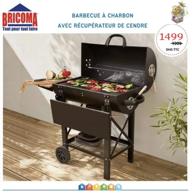 Barbecue à charbon avec récupérateur du cendre