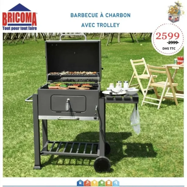 Barbecue à charbon avec trolley