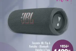 Enceinte JBL Flip 6 portable étanche 12h