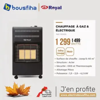 Chauffage à gaz électrique ROYAL