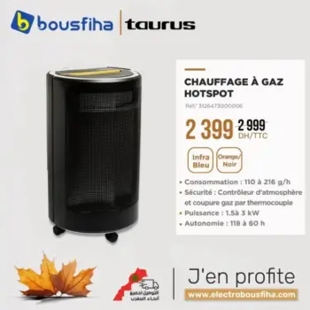 Chauffage à gaz Hotspot TAURUS