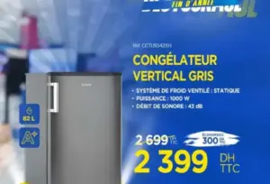 Congélateur vertical gris 82 litres CANDY