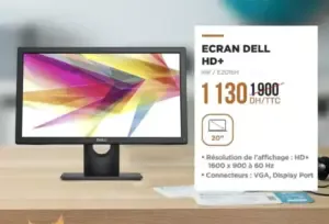 Ecran DELL HD+ 20 pouces