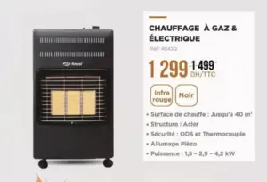 Chauffage à gaz électrique ROYAL